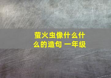 萤火虫像什么什么的造句 一年级